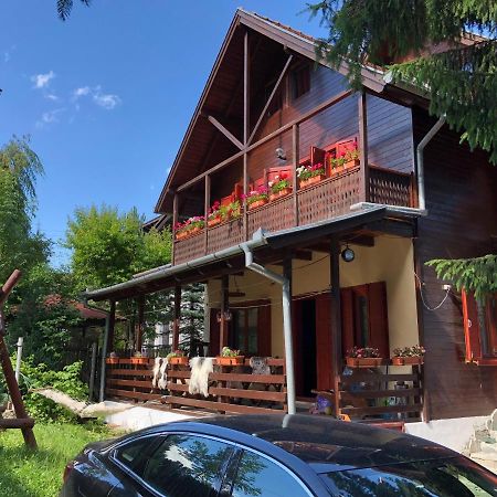Villa Family House Buşteni Exterior foto
