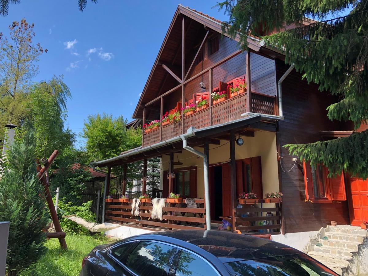 Villa Family House Buşteni Exterior foto
