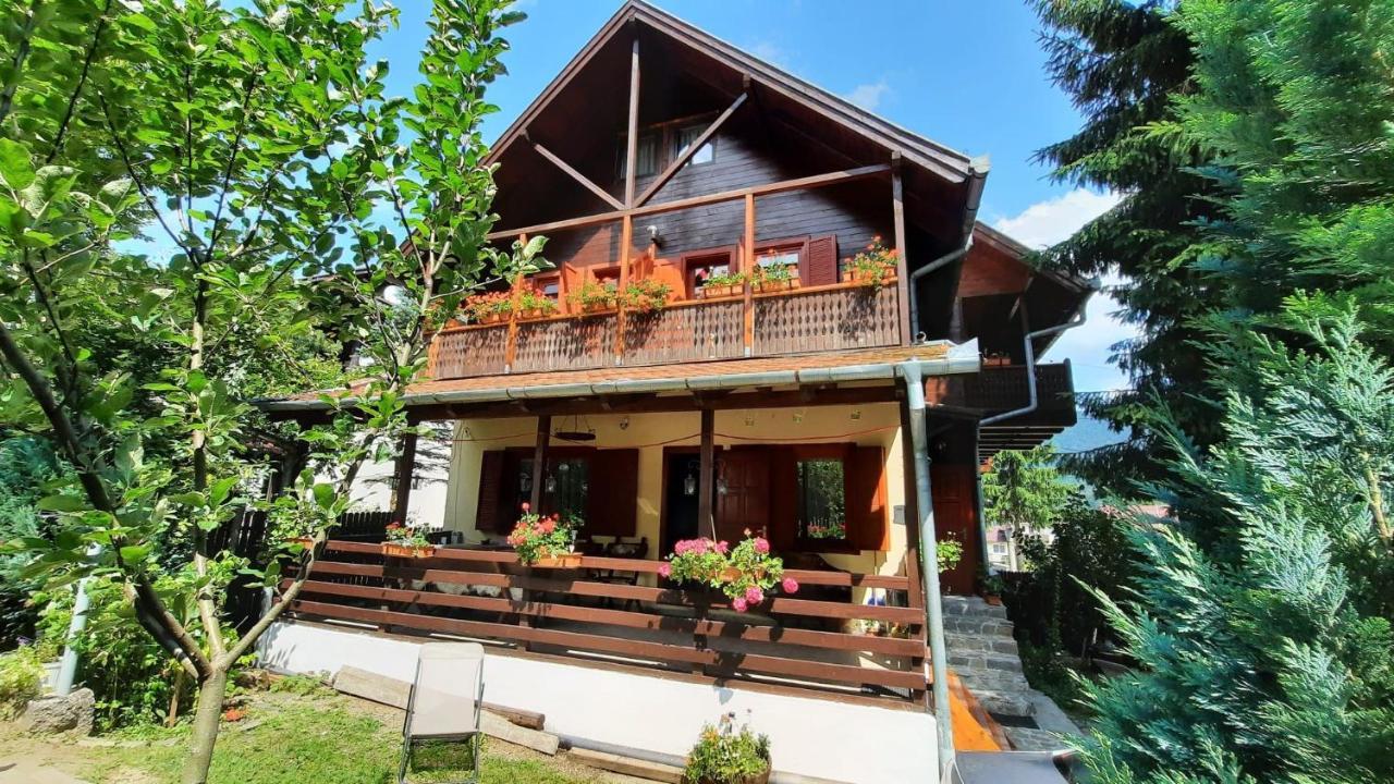 Villa Family House Buşteni Exterior foto